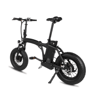 Dual-Drive Fat Tire E-bike Pro - black - Dual drive