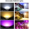 2-Pack 60W RGB Flood Lights Outdoor Garden Pathway Light Spotlight Lamps APP