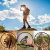 60X60 Zoom Binoculars Day/Night Vision Travel Outdoor HD Hunting