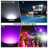 2-Pack 60W RGB Flood Lights Outdoor Garden Pathway Light Spotlight Lamps APP