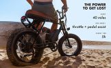 Electric Bike for Adults,20"X4.0" Fat Tire ,Electric Bicycle with 500W Motor,48V 10AH Removable Battery,20MPH Electric Bicycle Shimano 6-Speed